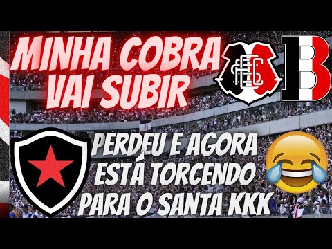 🐍🇾🇪MINHA COBRA VAI SUBIR 🤣O BOTAFOGO-PB PIPOCOU E ESTÁ TORCENDO PARA O SANTA