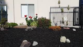 Hire a Garden Designer vs Do-It-Yourself