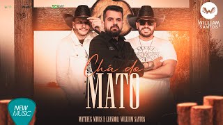 Chá Do Mato