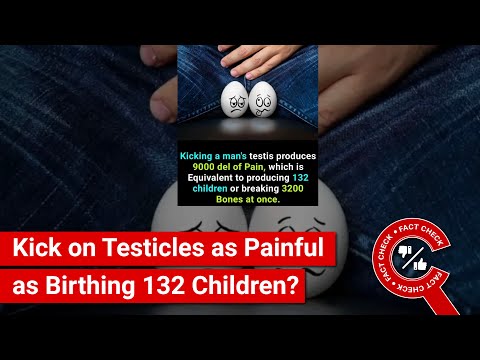 FACT CHECK: Kick on Testicles as Painful as Giving Birth to 132 Children or Breaking 3,200 Bones?