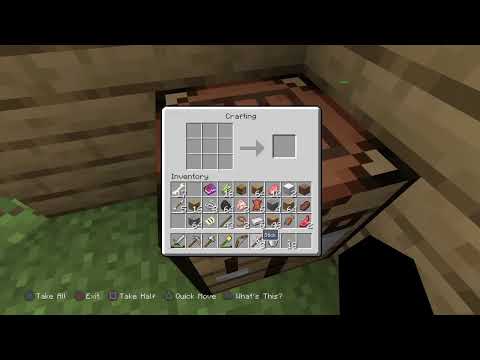 Minecraft (long video) pt2
