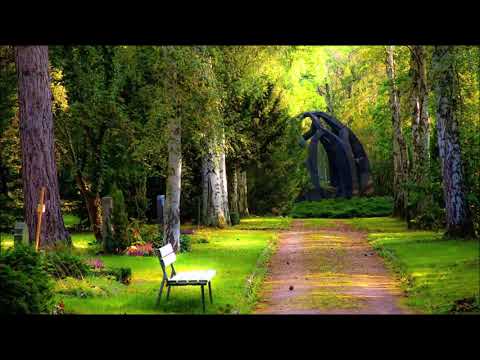 Jay Vee - Hiraeth ft. Sullii & drip-133