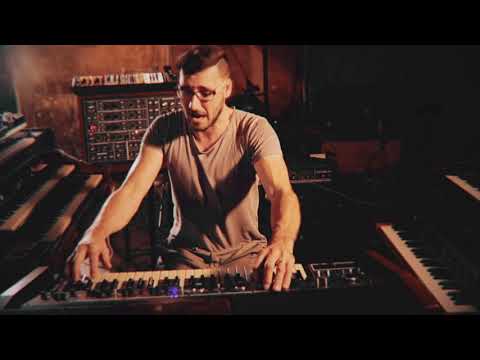 Organ Explosion - Crypto Cat