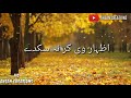 KOI KADO HAL MULA KATA DA CHALO KOI GAL NI SONG WHATSAPP STATUS
