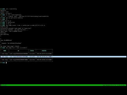 Deploying Nanos Node.JS Unikernels to AWS