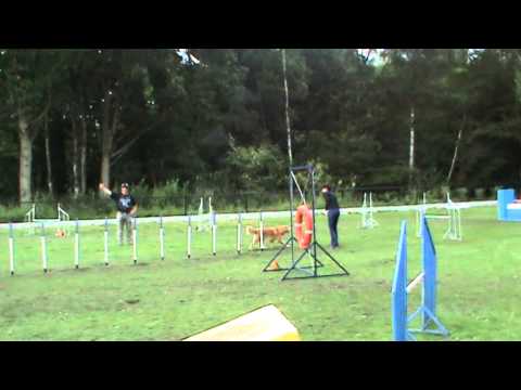 Wedstrijd KKK 09/08/2014 Jumping