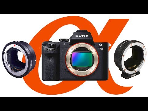 Sony A7III Eye Autofocus Test- Sigma MC-11 Vs Metabones 4T with Canon 135mm 2.0 and Canon 50mm 1.8