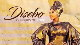 Disebo&#39;s Performances