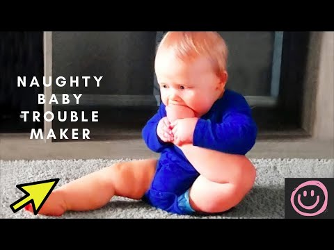 Naughty Baby Trouble Maker Will Make You Laugh| whatsyouropinion