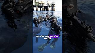 Navy Seals vs Army Rangers - Sniper, Nick Irving. #viralvideo #military #army #shorts #shortvideo