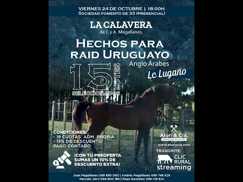 24/10/2025 La Calavera (Cabaña) - Escritorio Alori y Cia. / Sociedad Fomento de Treinta y Tres