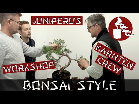 Geheimer Wacholder Workshop der #KärntenCrew | Wacholder (Juniperus) | #062 Bonsai Style