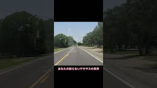 チャイナ・グローヴはテキサス