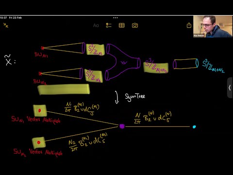Max Hübner - SymTrees and Symmetries