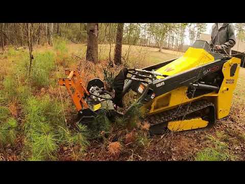MINI MULCHING OUT MY BROTHERS BACKYARD BEFORE THE ICE STORM HIT!