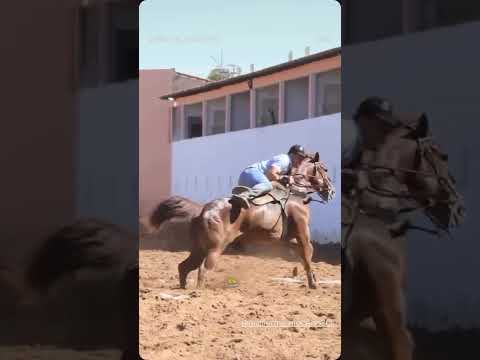Guilherme e o nome dele vaquejada em Divinopolis de Goiás