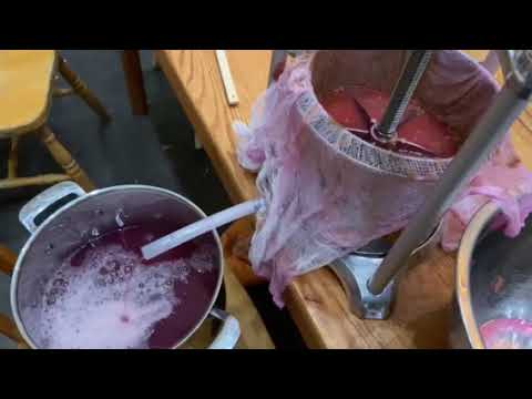 All About the Fruit Wine Press