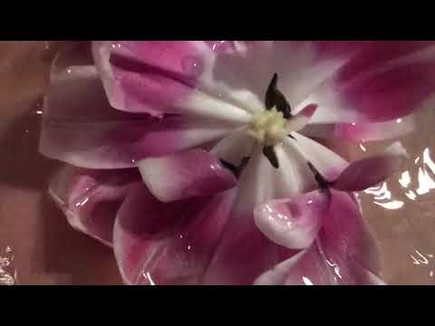 BJURMAN Music Diary 2018-03-22