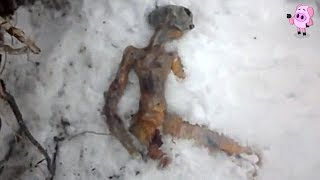 Download lagu 6 Real Photos of Aliens That May Prove They Exist mp3 Download lagu 6 Real Photos of Aliens That May Prove They Exist mp3