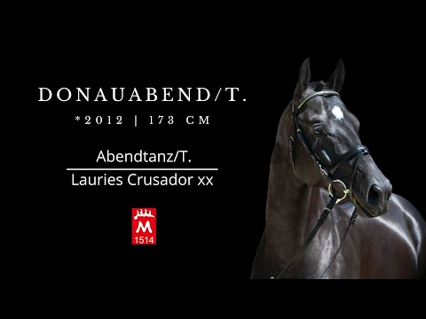 DONAUABEND/T. *2012 v. EH Abendtanz/T. - Lauries Crusador xx