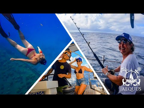 We hook a HUGE Marlin and find an underwater cave | Sailing Aequus - Episode 2