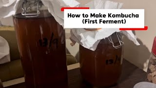 How to Make Kombucha (First Ferment)