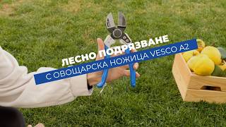 Vesco A2 - професионална овощарска ножица за прецизна резитба | До 25 mm