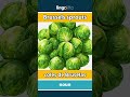 Brussels sprouts - coles de Bruselas video thumbnail
