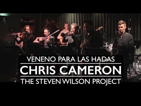 Veneno Para Las Hadas (Steven Wilson) - Chris Cameron - The Steven Wilson Project