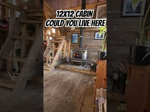 12x12 Cabin! Could You Live Here?