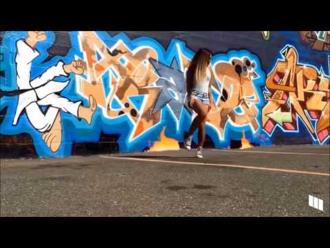 Best Music Mix 2017    Shuffle Dance Music Video HD