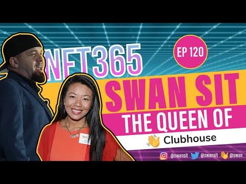 Swan Sit: Digital Transformation Web 2.0 and Web 3.0 Harmony