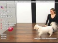 Vidéo