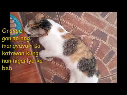 PusangUsapan  - About Former President NoyNoy Aquino's Burial