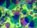 Jarboe's Warm Liquid Event [official video release]