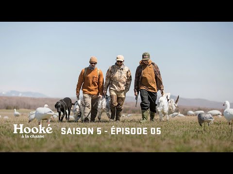 HOOKÉ - Victoriaville : Le dindon et l’oie blanche du printemps | S5E05 |