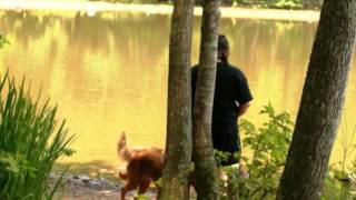 The Marshall Tucker Band - I Should Have Never Started Lovin&#39; You