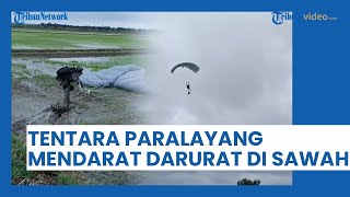 Viral Video Pasukan Terjun Payung Terpaksa Mendarat Darurat di Sawah karena Angin Kencang