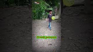 Download lagu prank petasan#shorts #videoshort #komedi mp3