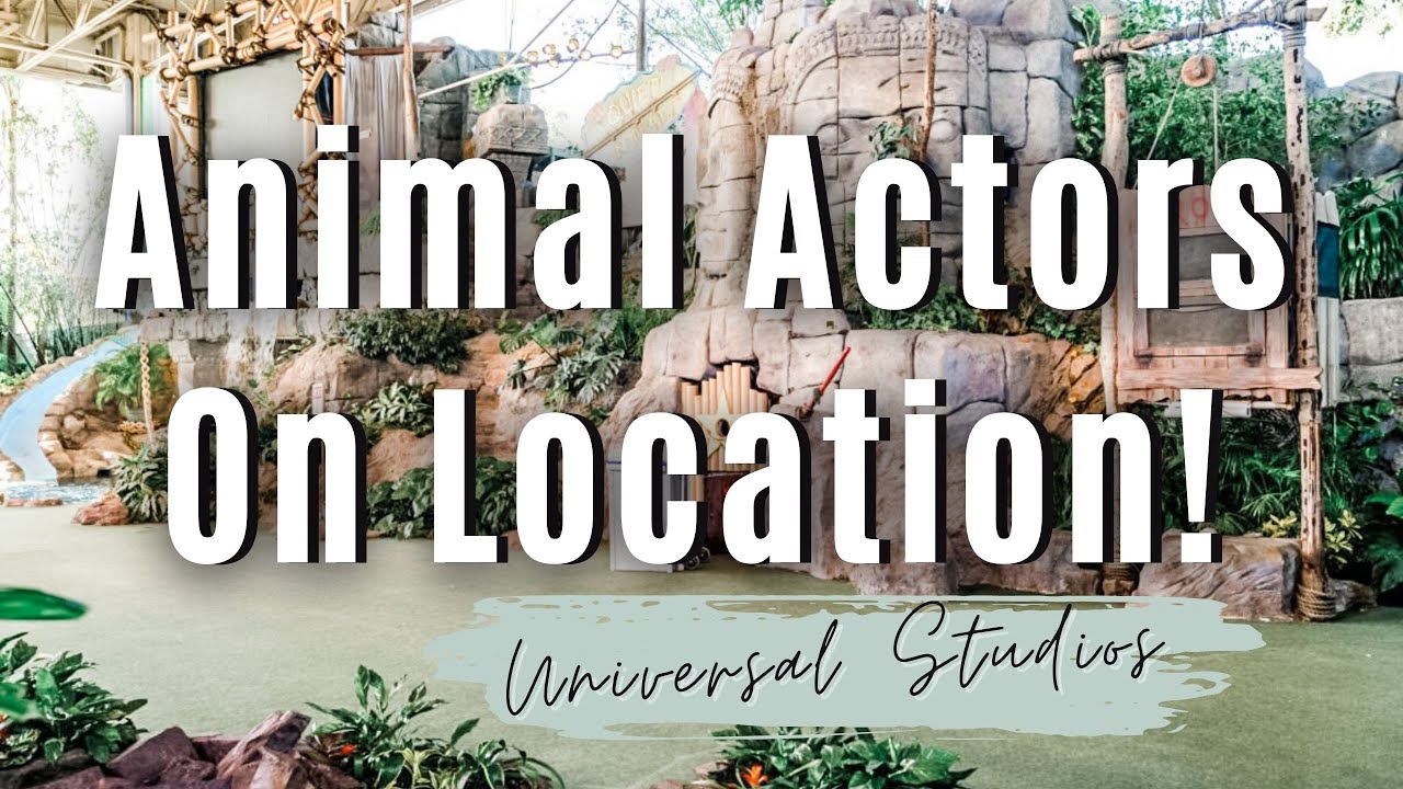 Vista previa del video POV de Animal Actors On Location!