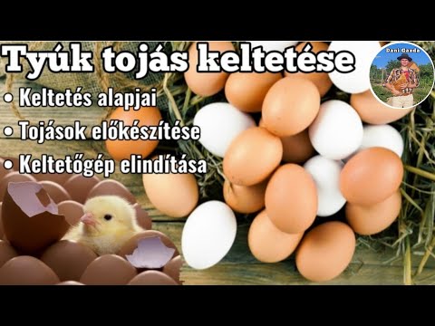 , title : 'Tyúk tojás keltetése - A keltetés alapjai, tojások előkészítése, a keltetőgép elindítása, (1. rész)'