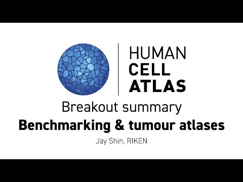 Hinxton 2018 - Breakout summary: Benchmarking