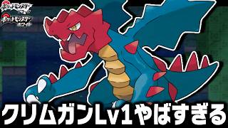 クリムガンLv1が最初のポケモンだったら1匹で殿堂入りまで無双できるのか？(0.0000001%の奇跡を呼ぶ竜)