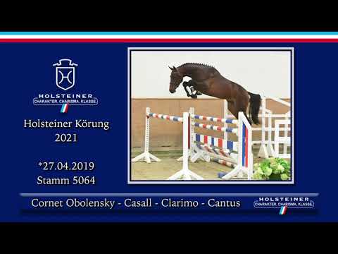 Holsteiner Körlot 2021 | Nr. 28 v. Cornet Obolensky - Casall - Clarimo - Cantus