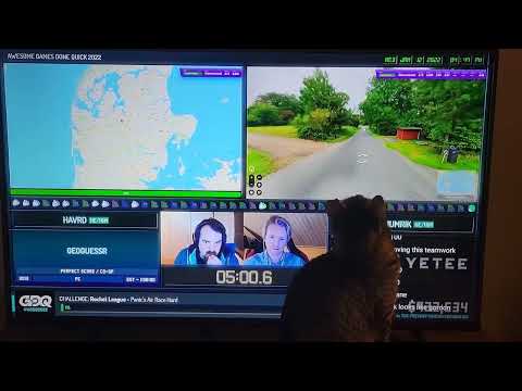 Rambo watches Geoguessr on @gamesdonequick 2022