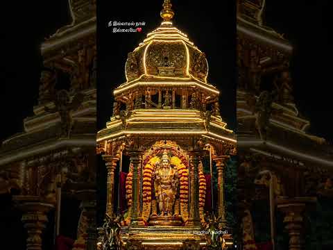 🦚❤️ #muruganslogasmanthras #muruganwhatsappstatustamil #murugantemple #murugansongs