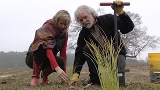 Rolling Stones’ Chuck Leavell At Home On Twiggs County Tree Farm