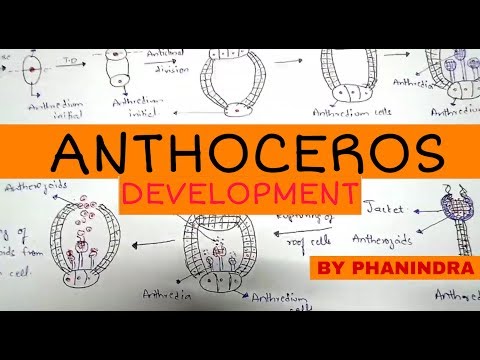 GLYCOLYSIS OR EMP PATHWAY BY PHANINDRA GUPTHA