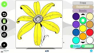 ANYCOLOR Poki