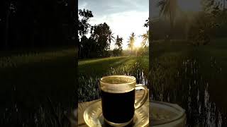 Download lagu nikmatnya pagi pagi ngopi di sawah mp3